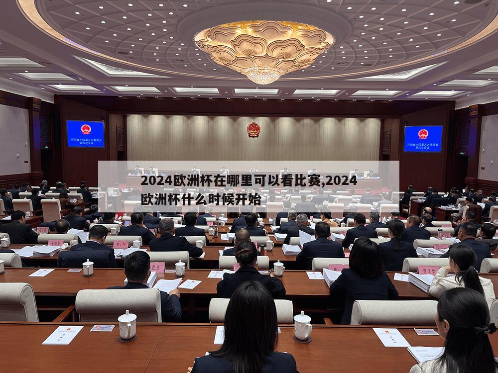 2024欧洲杯在哪里可以看比赛,2024欧洲杯什么时候开始-第1张图片-333体育