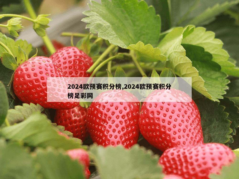 2024欧预赛积分榜,2024欧预赛积分榜足彩网-第1张图片-333体育