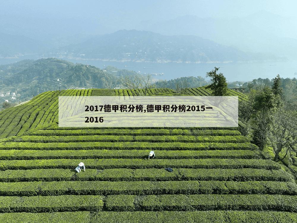 2017德甲积分榜,德甲积分榜2015一2016-第1张图片-333体育