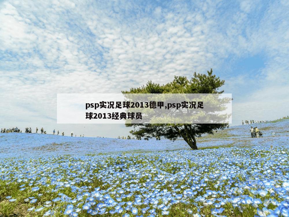 psp实况足球2013德甲,psp实况足球2013经典球员-第1张图片-333体育